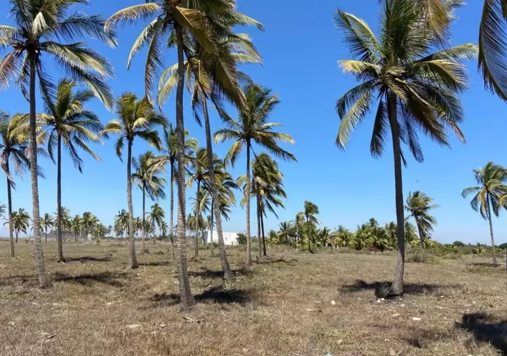 LAND ON THE ANGEL TEACAPAN BEACH