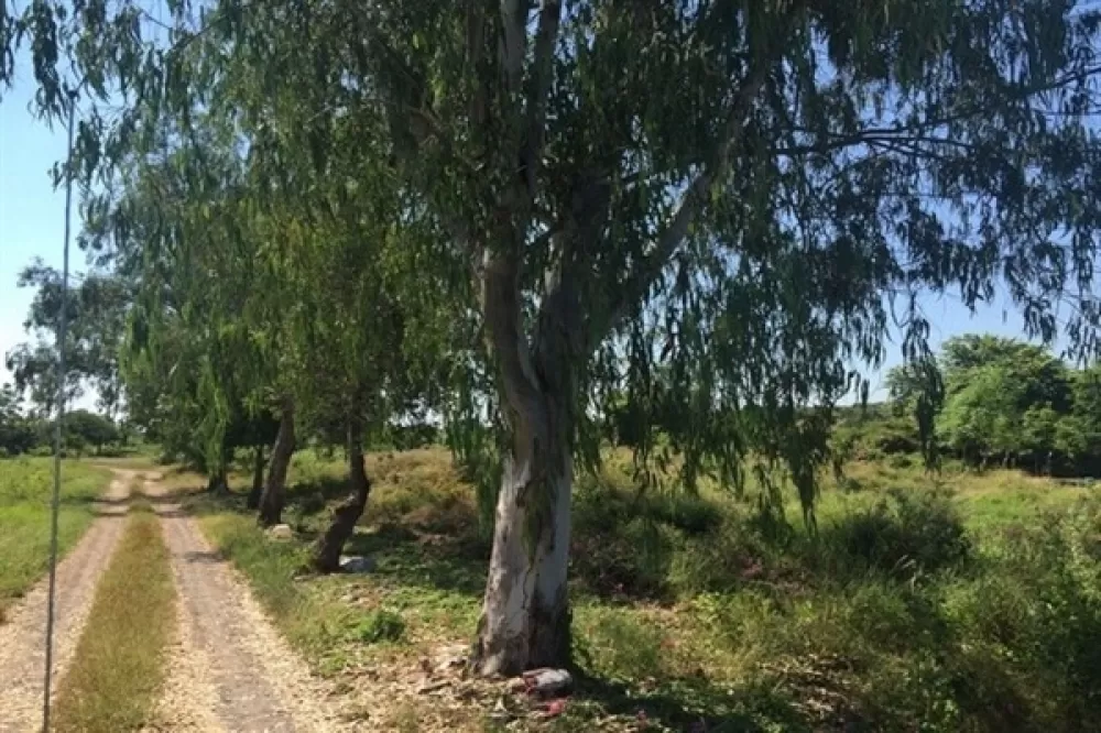 LAND ON INTERNATIONAL ROAD