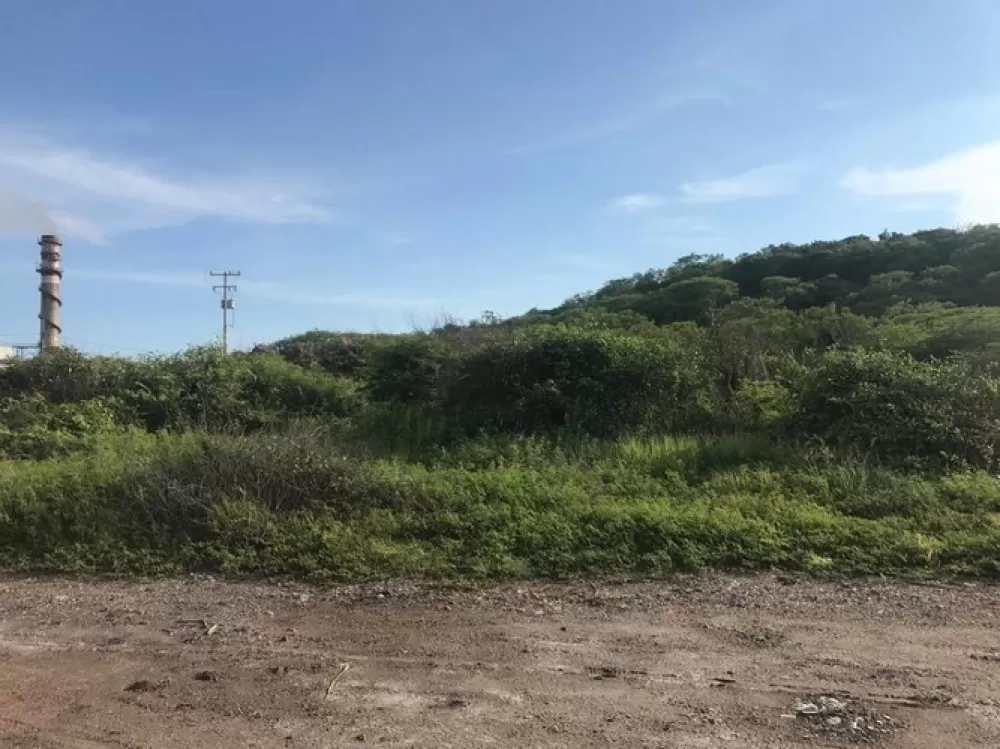 LAND IN THE MERMAID EXCELLENT OPPORTUNITY