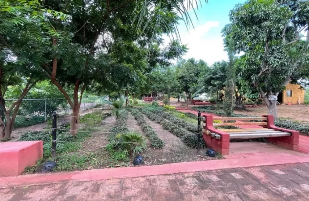 LOTS IN CAMPESTRE BUENA ESPERANZA