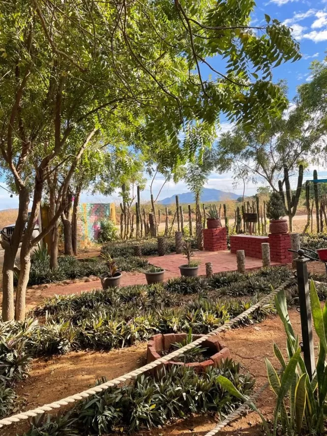 LOTS IN CAMPESTRE BUENA ESPERANZA