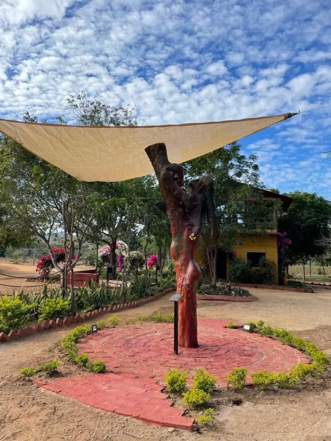 LOTS IN CAMPESTRE BUENA ESPERANZA