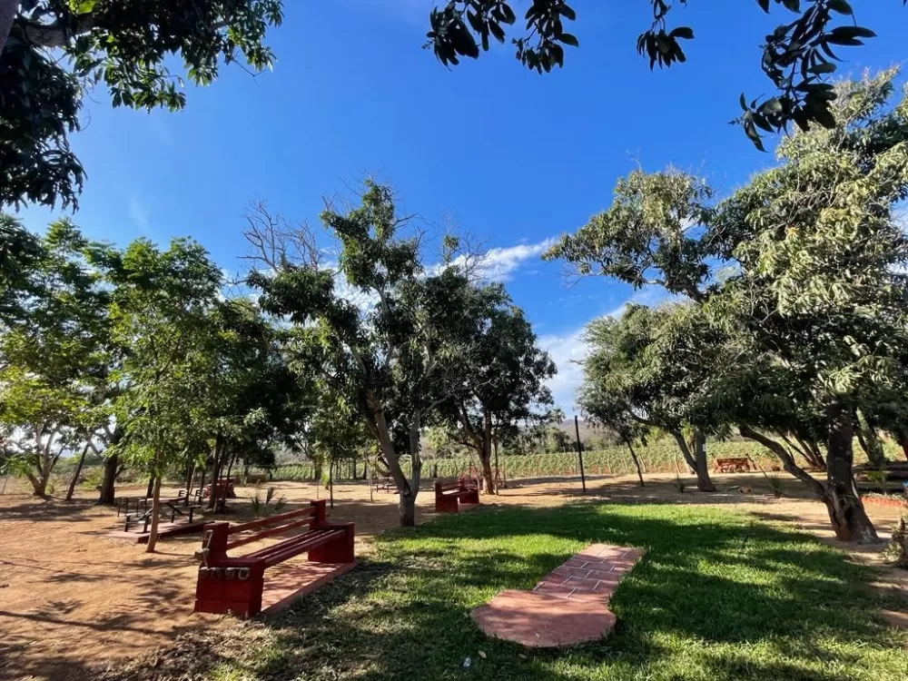 LOTS IN CAMPESTRE BUENA ESPERANZA