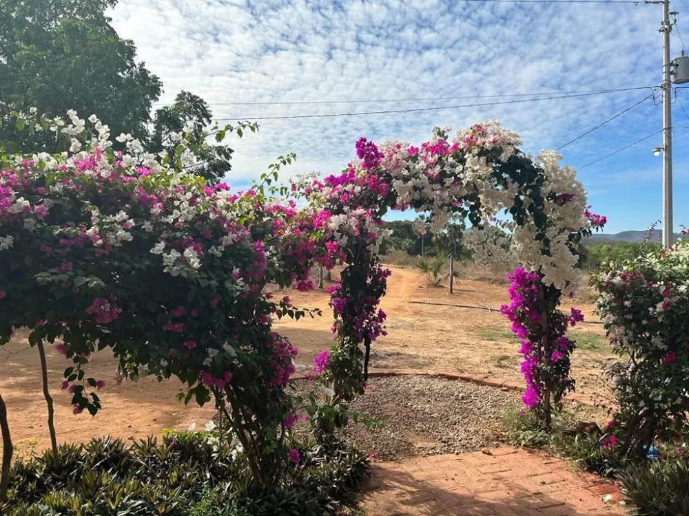 LOTS IN CAMPESTRE BUENA ESPERANZA