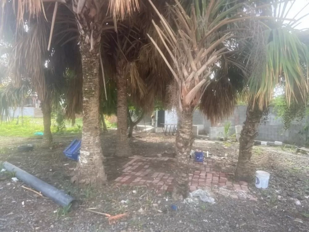 THE PROPERTY IS RENTED WINERY AND LAND IN HACIENDA DE URÍAS MAZATLÁN