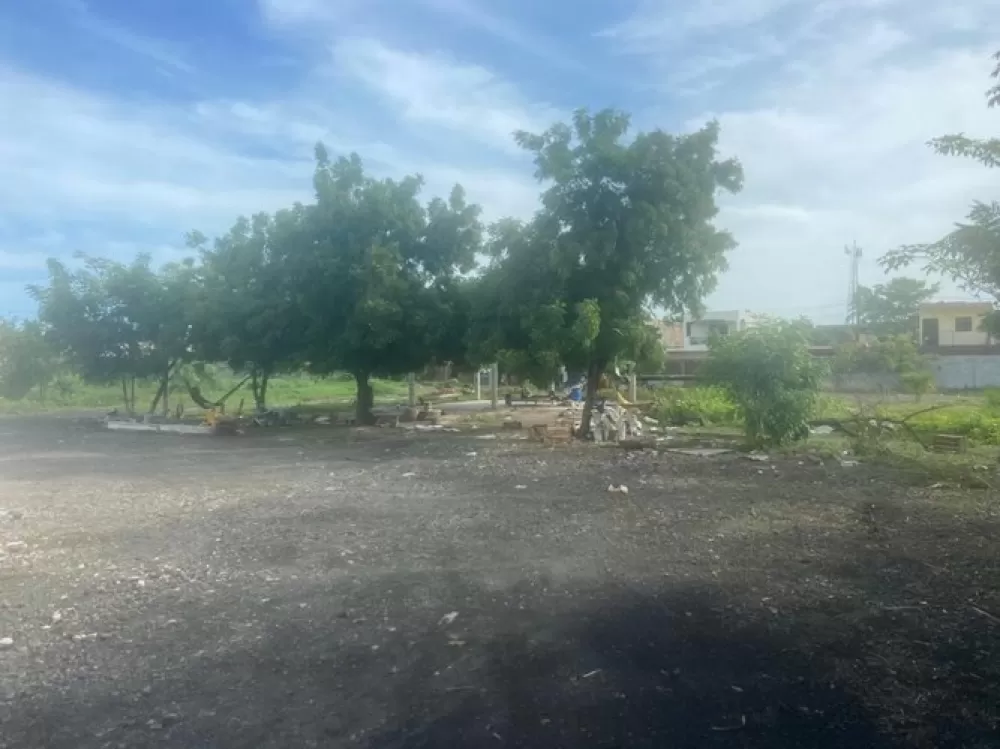 THE PROPERTY IS RENTED WINERY AND LAND IN HACIENDA DE URÍAS MAZATLÁN