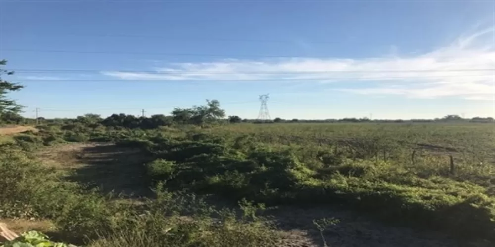 LAND IN THE OAK