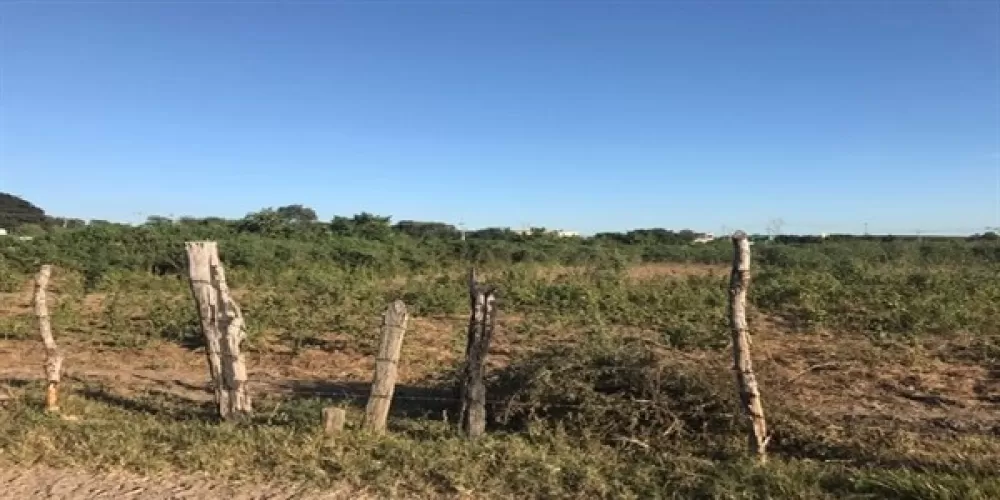 LAND IN THE OAK