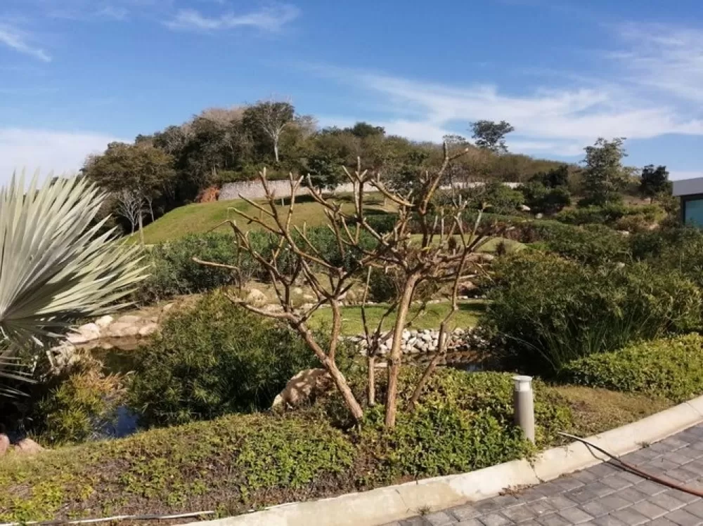 VENTA DE LOTES EN VEREDAS DEL MAR COTO 1