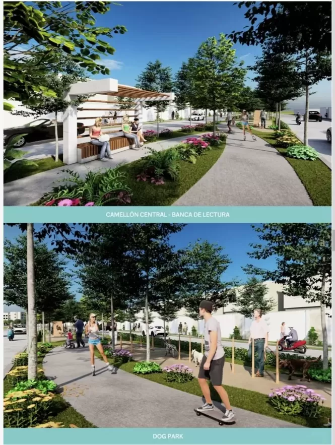 RESIDENTIAL ALSERENA FAILURE