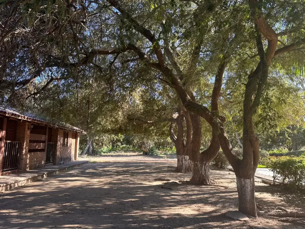 RANCH IN EL POZOLE, VILLA UNIÓN