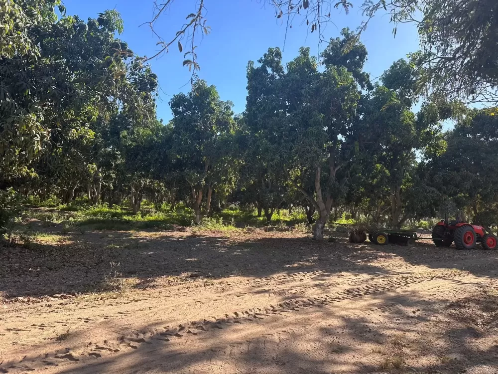 RANCH IN EL POZOLE, VILLA UNIÓN