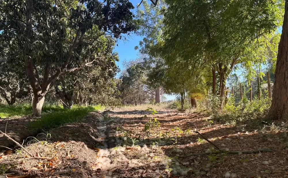 RANCH IN EL POZOLE, VILLA UNIÓN