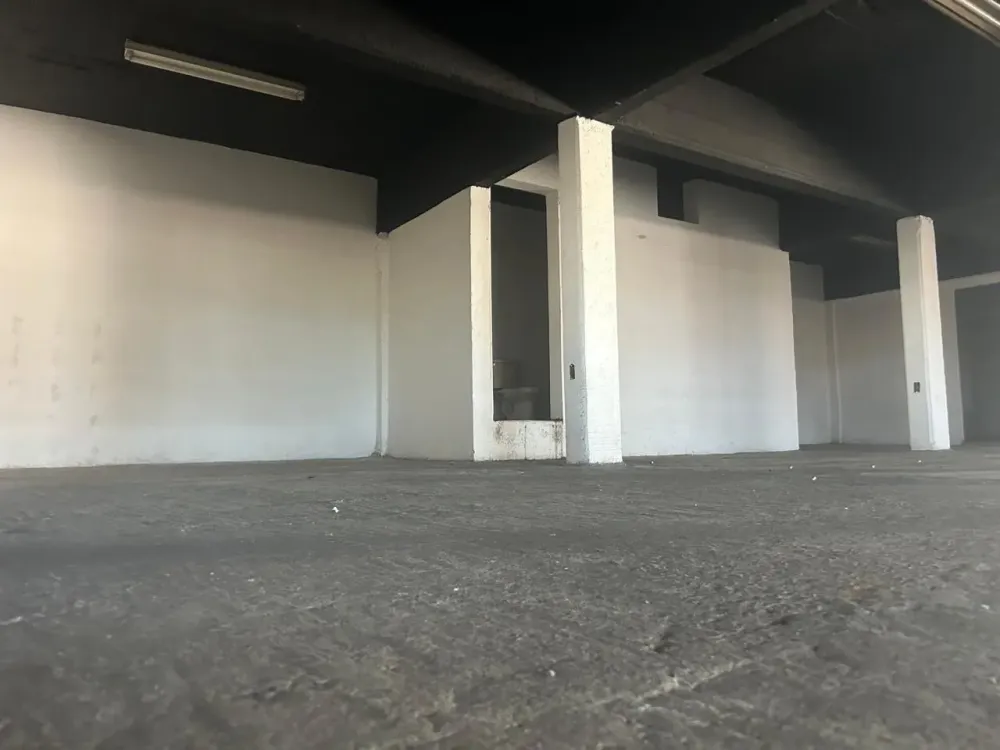 Excelente bodega