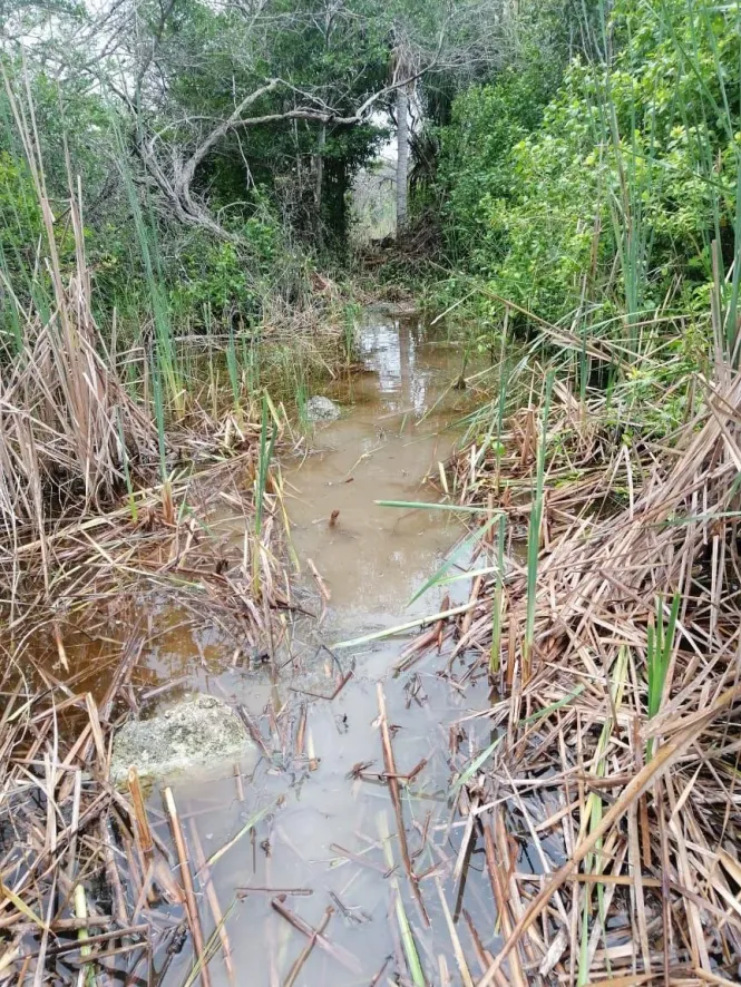 LAND FOR SALE IN QUINTANA ROO