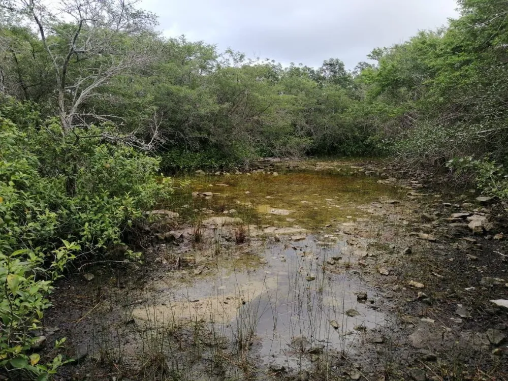 LAND FOR SALE IN QUINTANA ROO