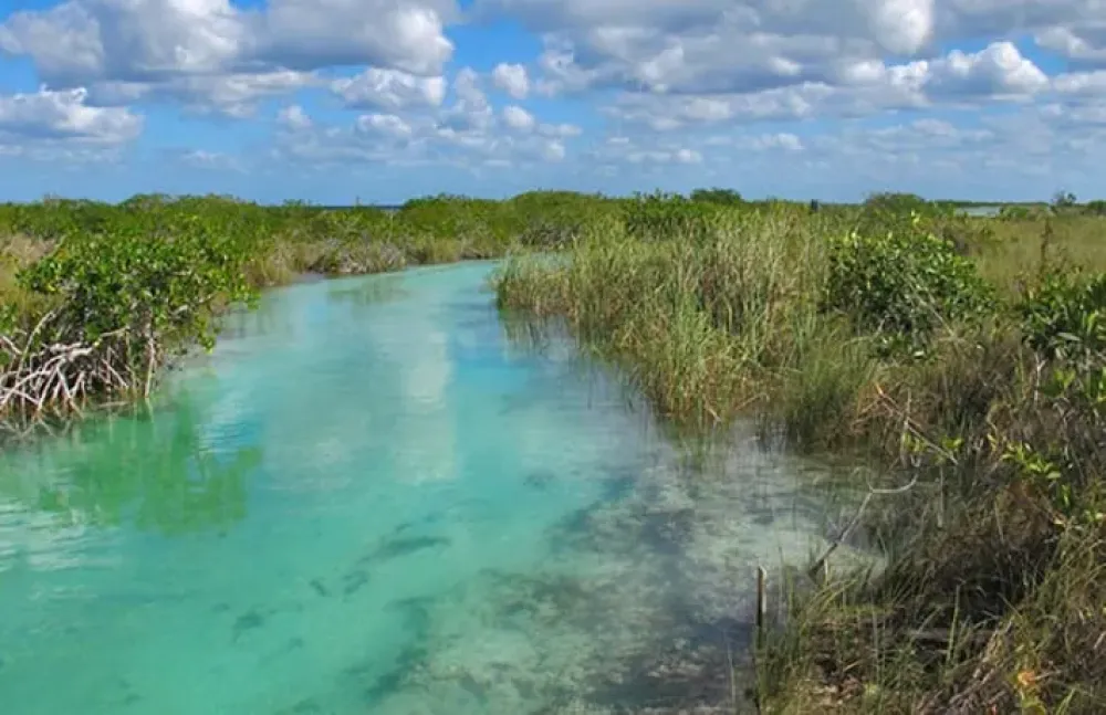 LAND FOR SALE IN QUINTANA ROO