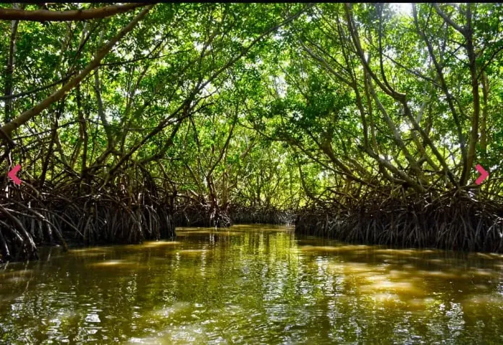 LAND FOR SALE IN QUINTANA ROO