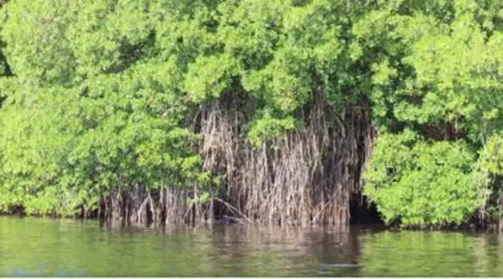 LAND FOR SALE IN QUINTANA ROO