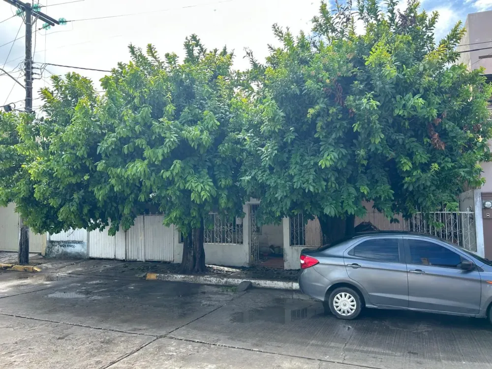 PROPERTY IN PLAYA SUR